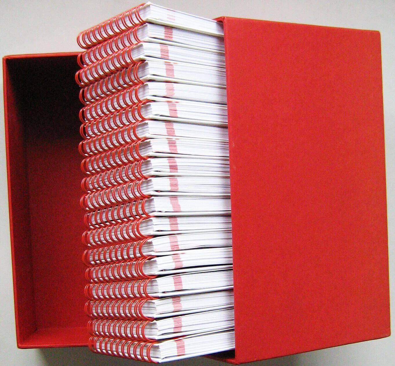 Ferrari Media Book 2008 (Con Cofanetto) - Image 2